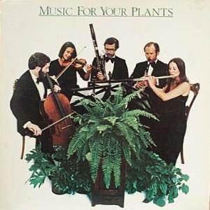Music for Plants? You Must be Joking.... - Tree2mydoor