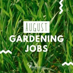 August Gardening Jobs