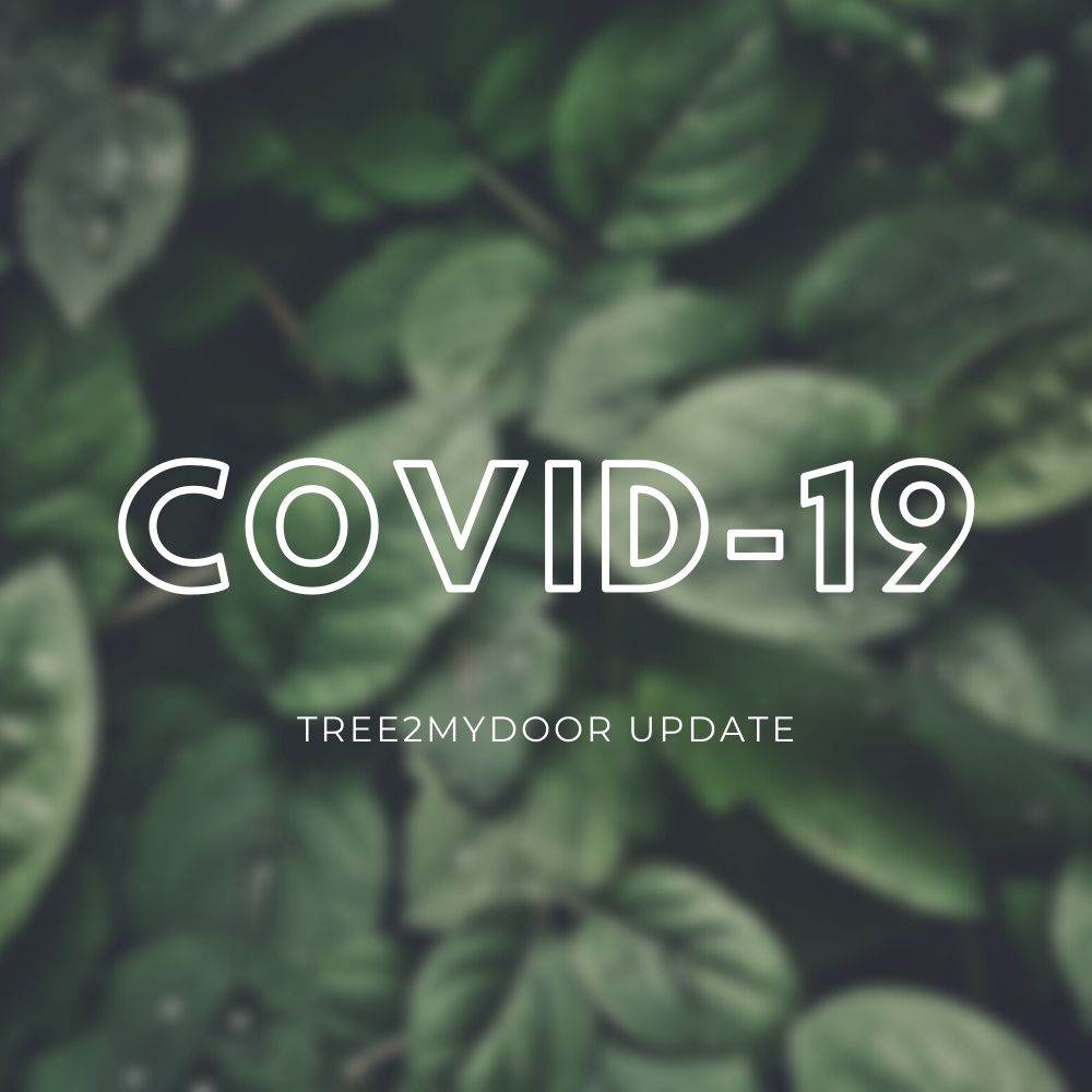 COVID-19 Tree2mydoor Update - Tree2mydoor