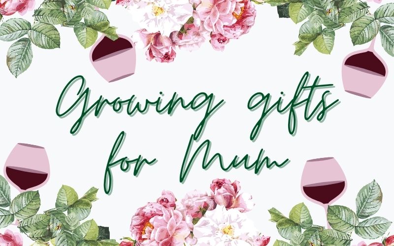 Unique Growing Mother's Day Gifts