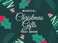 Shop now for unique Christmas gifts that grow
