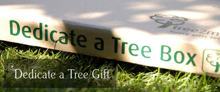 Dedicate a Tree