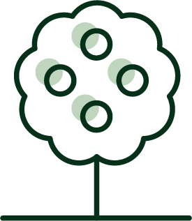 Fruit bearing