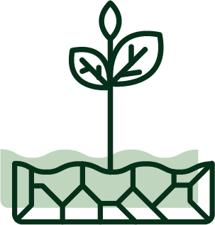 Grow in the ground