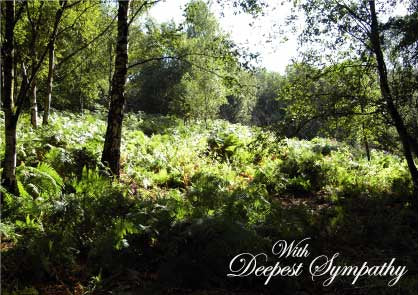 Deepest sympathy forest card