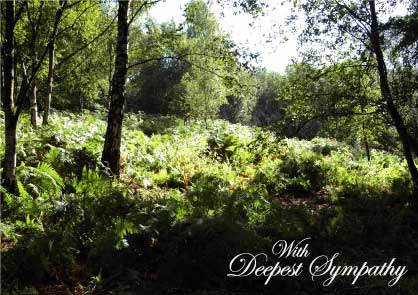 Deepest Sympathy Card