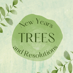 New Year's Trees - Tree2mydoor