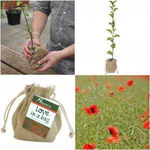 Mother's Day Competition - Tree2mydoor