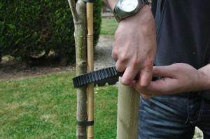 What to do in the Garden this September - Tree2mydoor