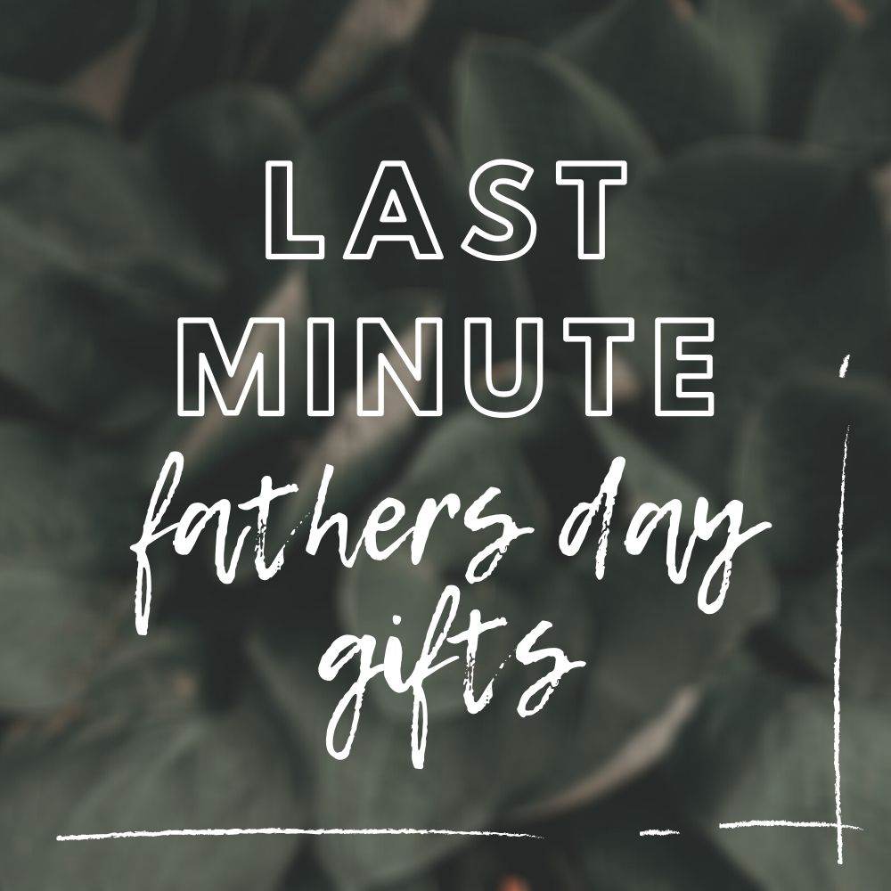Last Minute Fathers Day Gifts - Tree2mydoor