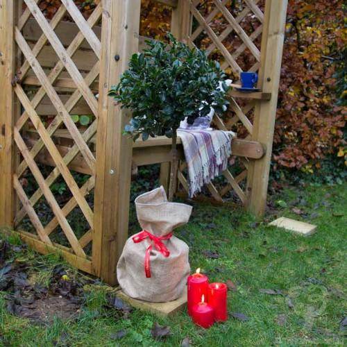 Christmas Holly Tree Gift Guide - Tree2mydoor