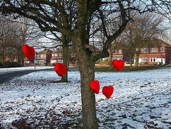 Valentines Poetry Competition Success - Tree2mydoor