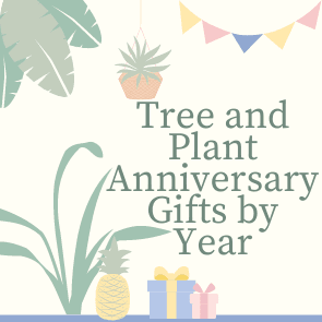 Tree and Plant Anniversary Gifts by Year - Tree2mydoor