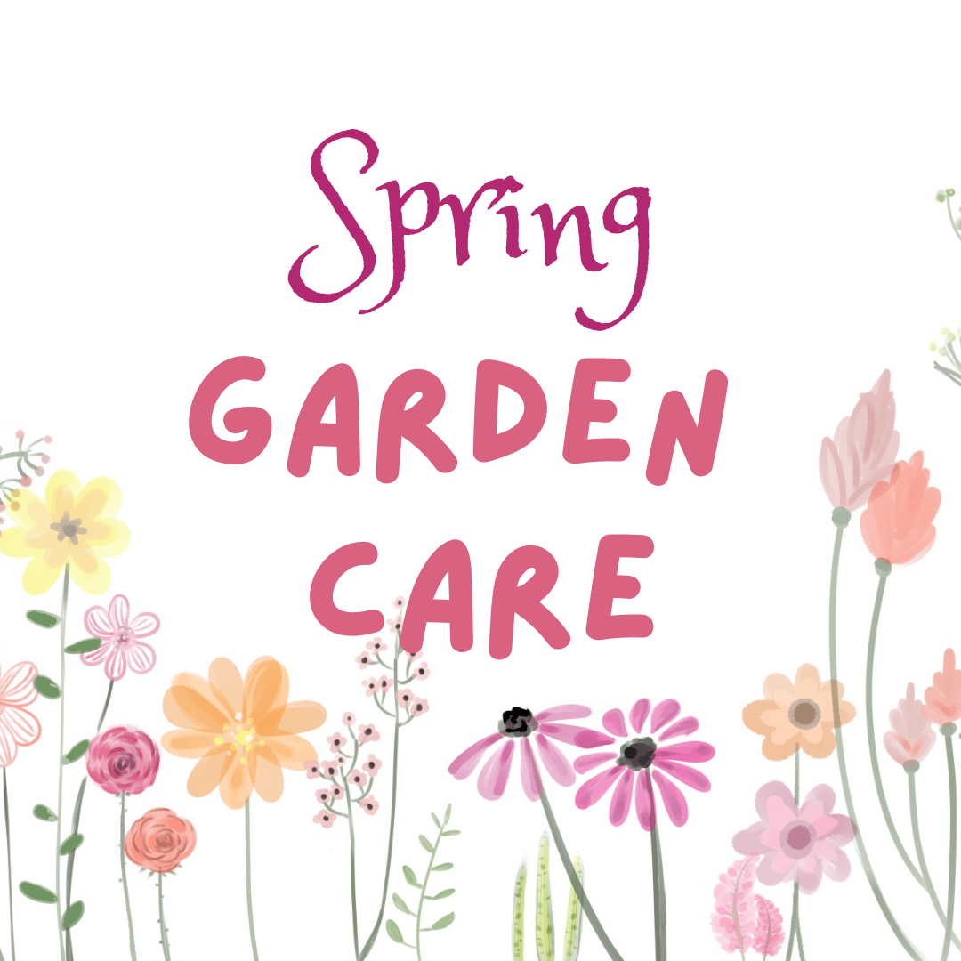 How to Look after your Garden in Spring and British Summer Time - Tree2mydoor