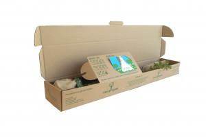 Tree2mydoor and Innovative Packaging - Our Story - Tree2mydoor