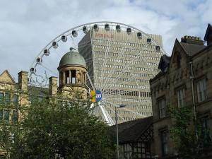 Why we need Urban Trees - Tree2mydoor