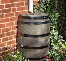 Drought Fears - watering trees - Tree2mydoor