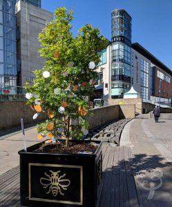 Manchester Tree of Hope Trail - Tree2mydoor