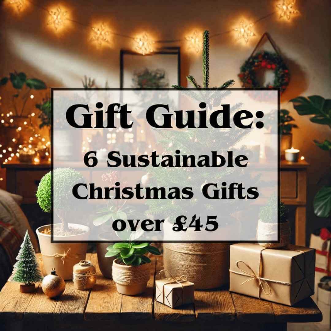 Gift Guide: 6 Sustainable Christmas Gifts over £45 - Tree2mydoor