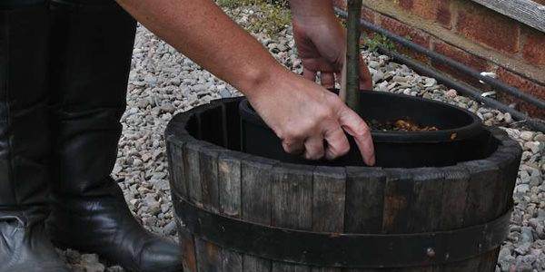 National Tree Week 2011 - Tree2mydoor