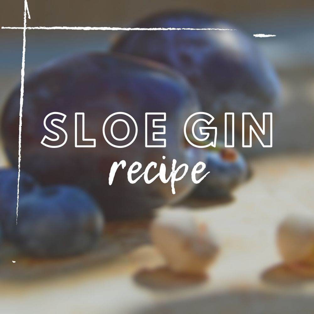Sloe Gin Recipe - Tree2mydoor