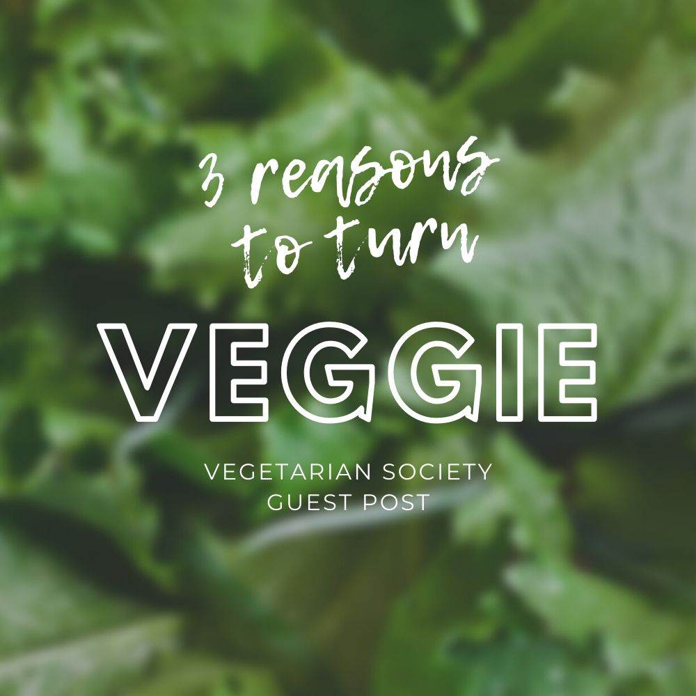 3 Reasons to Turn Veggie + Easy Recipes (Vegetarian Society) - Tree2mydoor