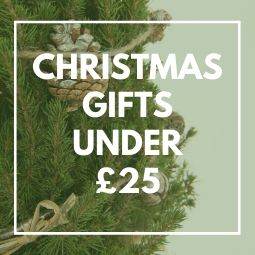 6 Eco-Friendly Christmas Gifts for Under £25 - Tree2mydoor