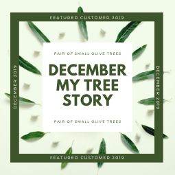 December MyTree Story 2019 - Tree2mydoor