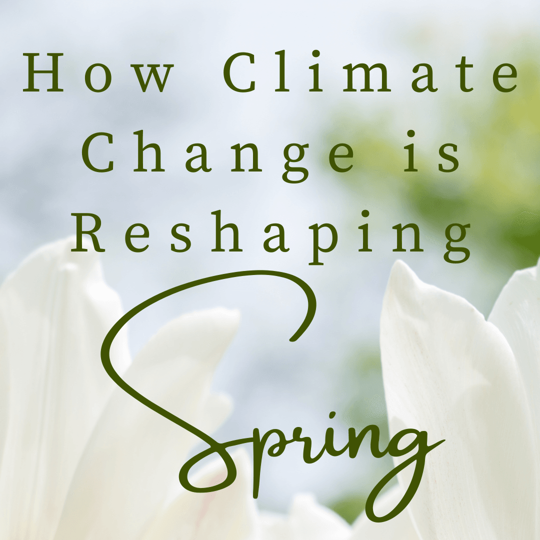 How Climate Change Is Reshaping Spring - Tree2mydoor