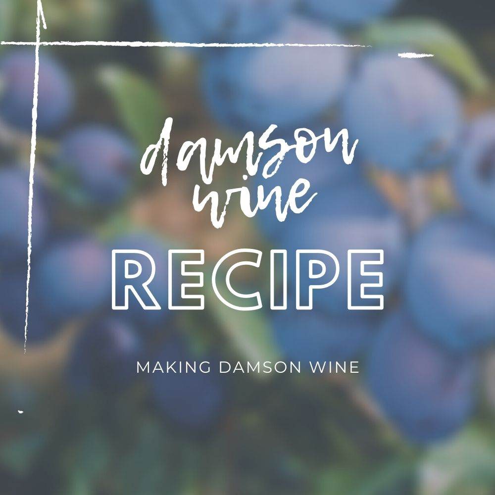 Damson Wine Recipe - Tree2mydoor