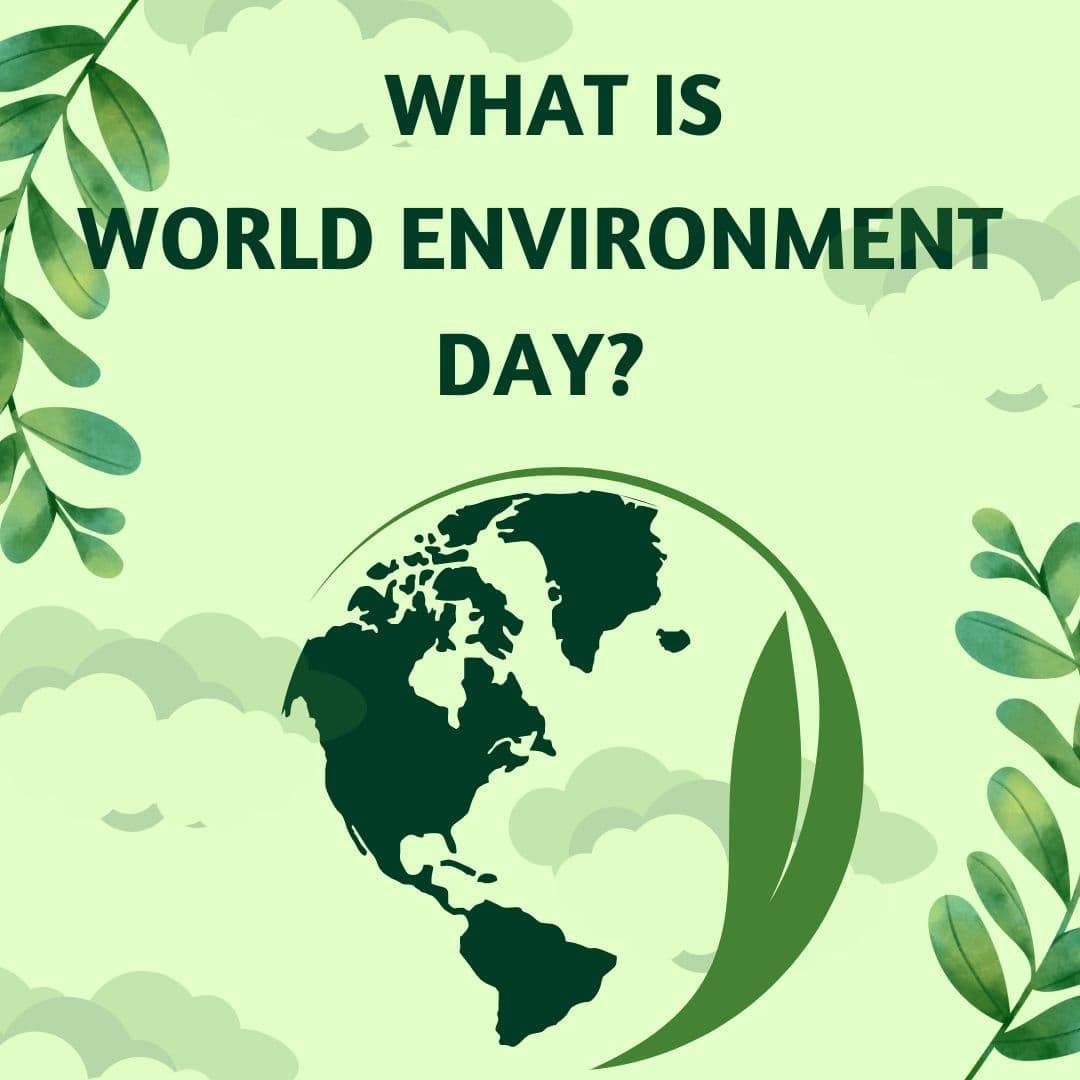 What is World Environment Day? - Tree2mydoor