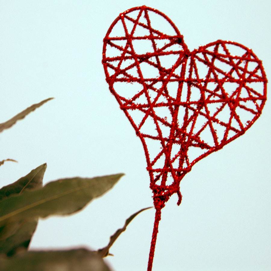 Valentines Poetry Competition and Gifts - Tree2mydoor