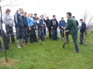 Dedicate a Tree in Northern Ireland with Tree2mydoor - Tree2mydoor