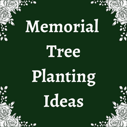 Memorial Tree Planting Ideas - Tree2mydoor