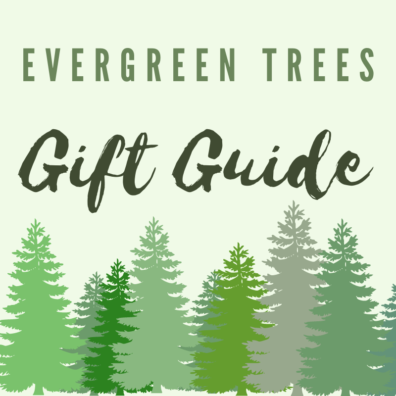 Top Five Evergreen Gifts