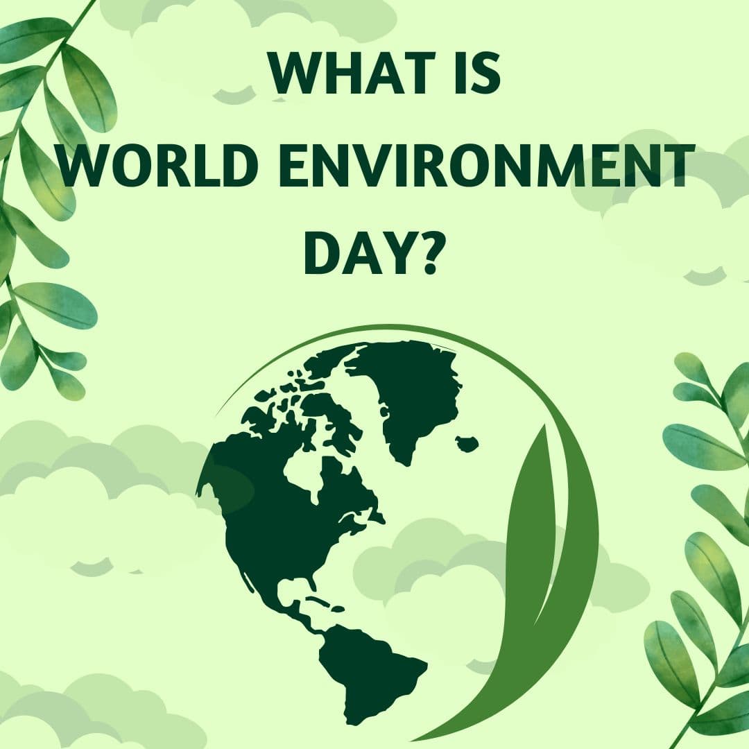 What is World Environment Day 2024? | Tree2mydoor