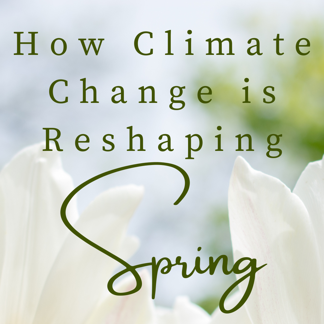 How climate change is reshaping spring