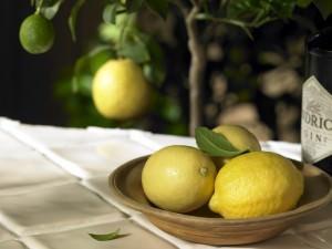 Lemon Trees | Lemon Bushes - Buy Online