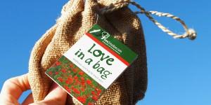 Love filled Tree Gifts to end Blue Monday