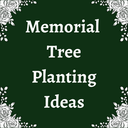 Memorial Tree Planting Ideas | Plant a Tree in Memory