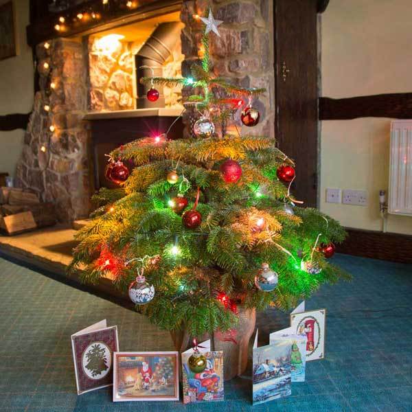Buy Christmas Tree Online UK