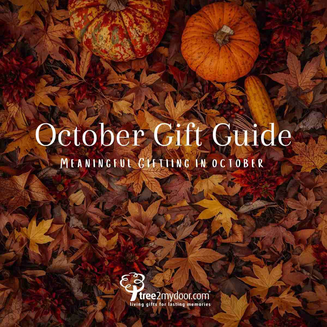 October Gift Guide
