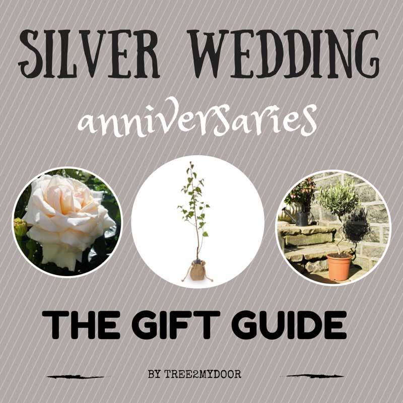 Silver 25th Anniversary Presents
