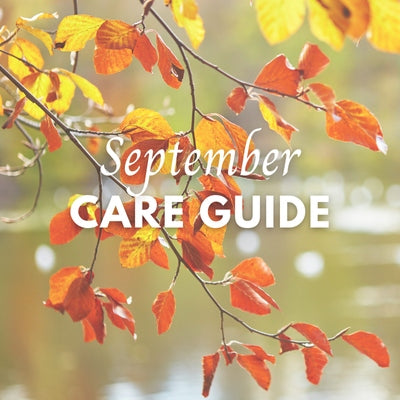 Gardening Jobs for September