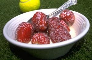 Fruit Bushes for Wimbledon