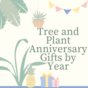 Tree & Plant Anniversary Gifts by Year | Anniversary Gift Ideas