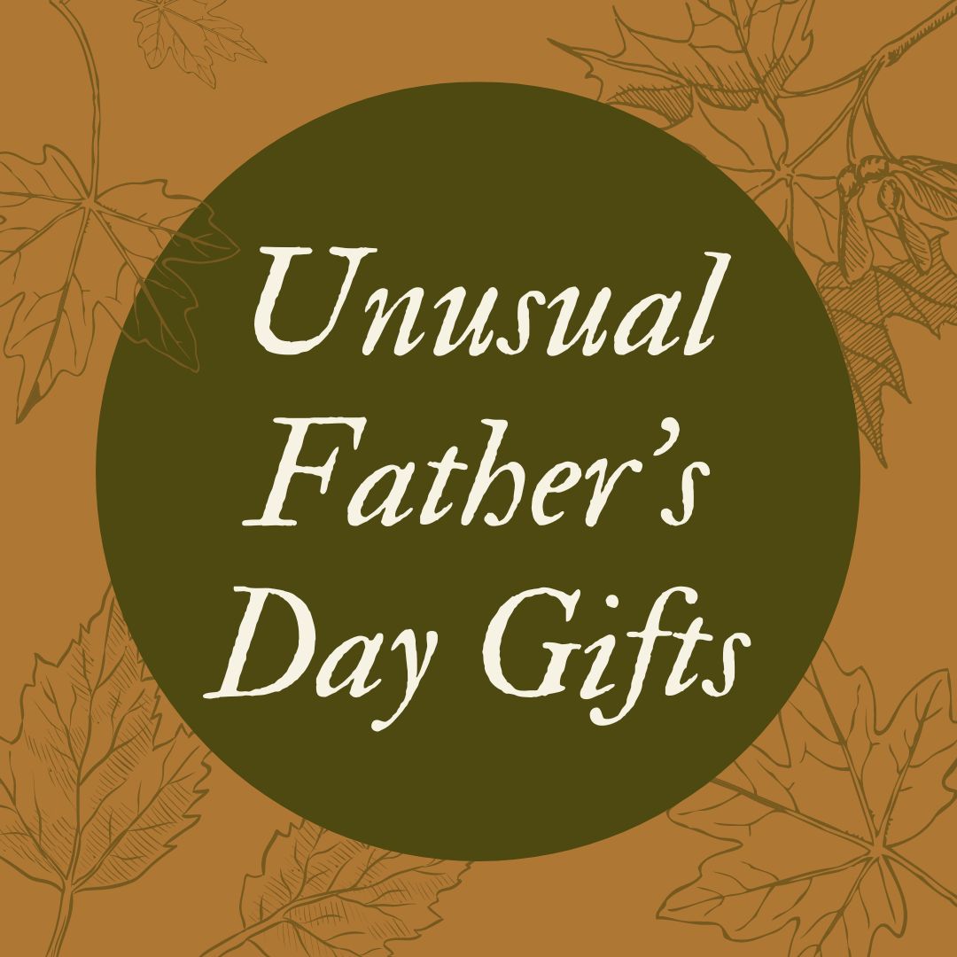 Unique Fathers Day Gifts; Great gifts for Great Dads.