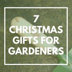 7 Best Christmas Gifts for Gardeners - Tree2mydoor
