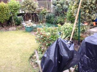 Winter Snow: Quick Tree Care Guide - Tree2mydoor