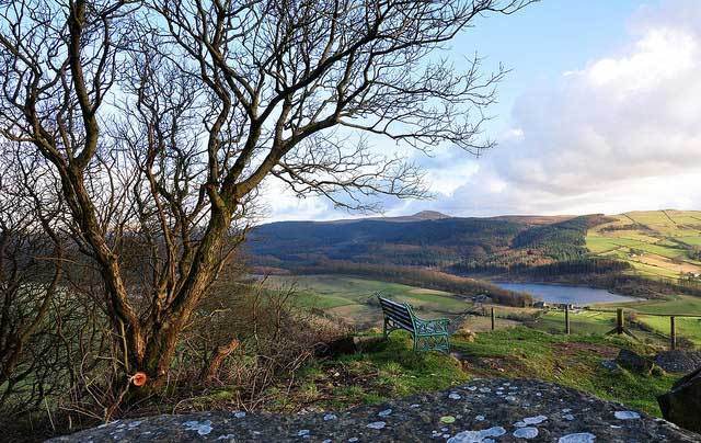 ShareSpring online campaign launched - Tree2mydoor